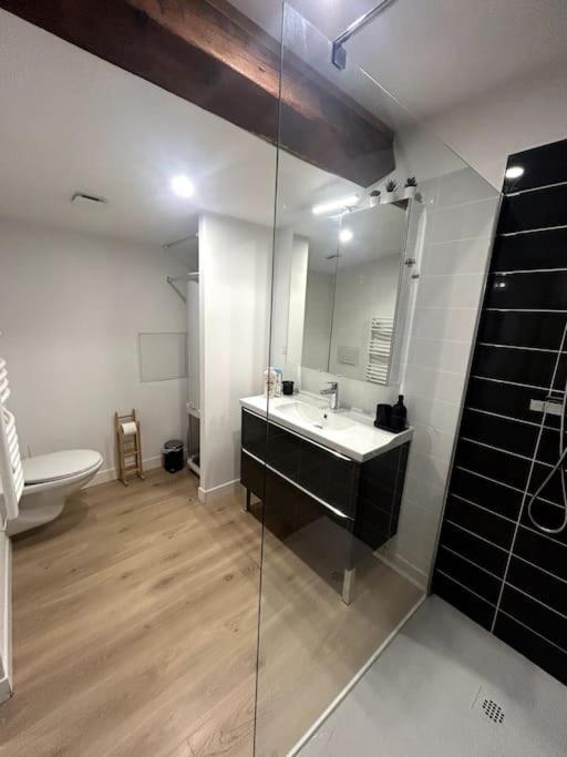 Cocon Chaleureux Au Coeur De Mirepoix Apartman Mirepoix  Kültér fotó