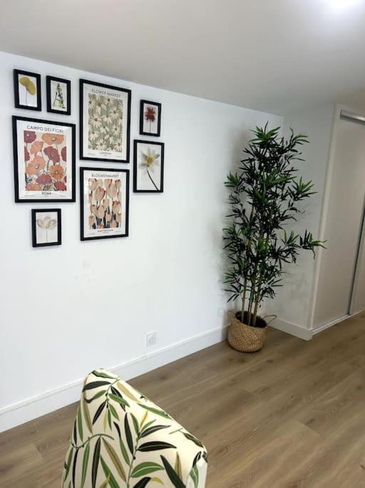 Cocon Chaleureux Au Coeur De Mirepoix Apartman Mirepoix  Kültér fotó